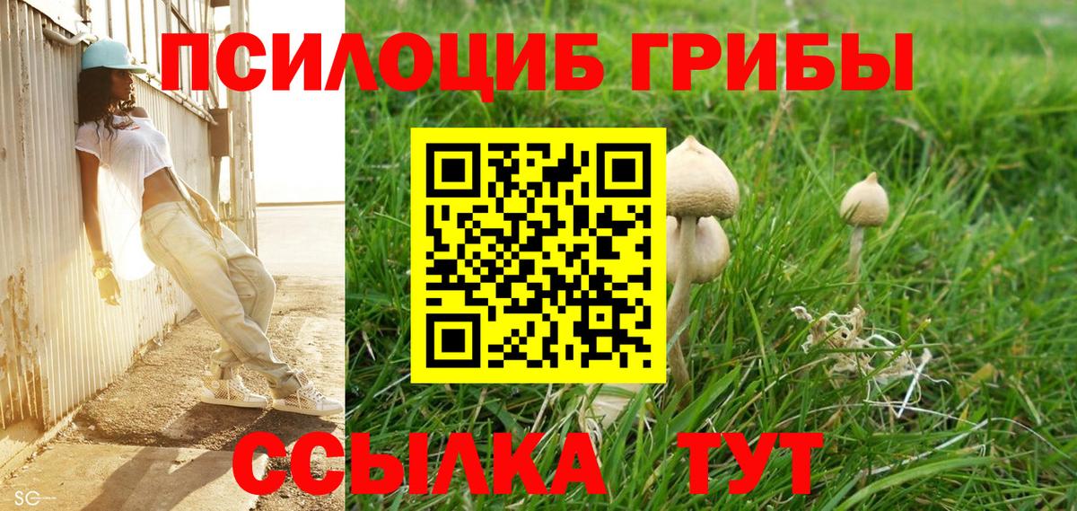 Псилоцибиновые грибы мухоморы  Вход с VPN  Минеральные Воды  Псилоцибиновые грибы ЛСД 